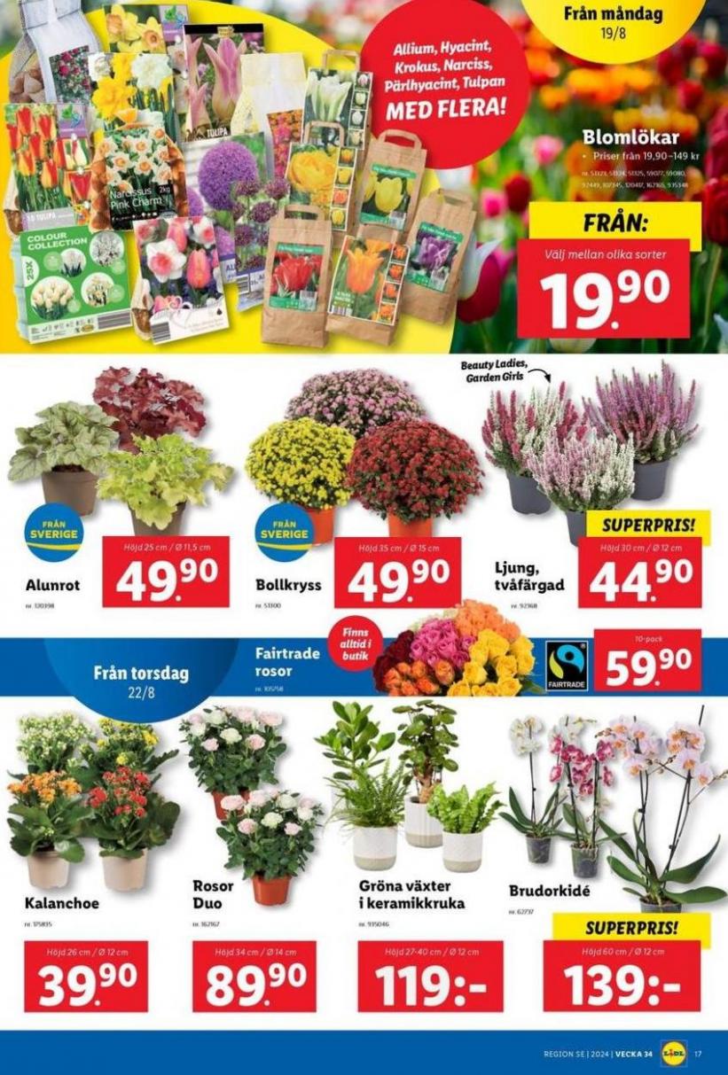 Aktuella deals och erbjudanden. Page 17