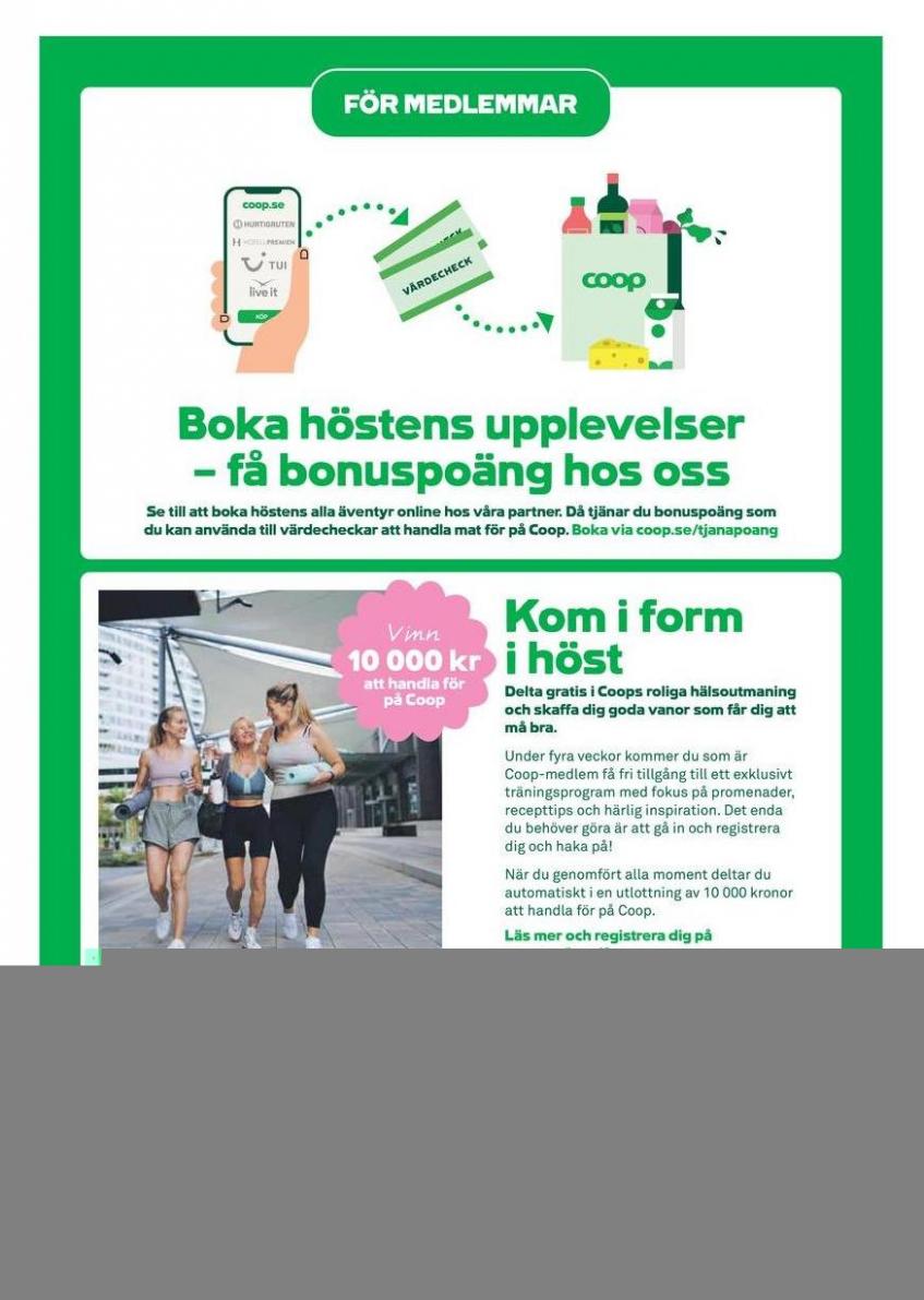 Top-erbjudanden för alla fyndjägare. Page 10